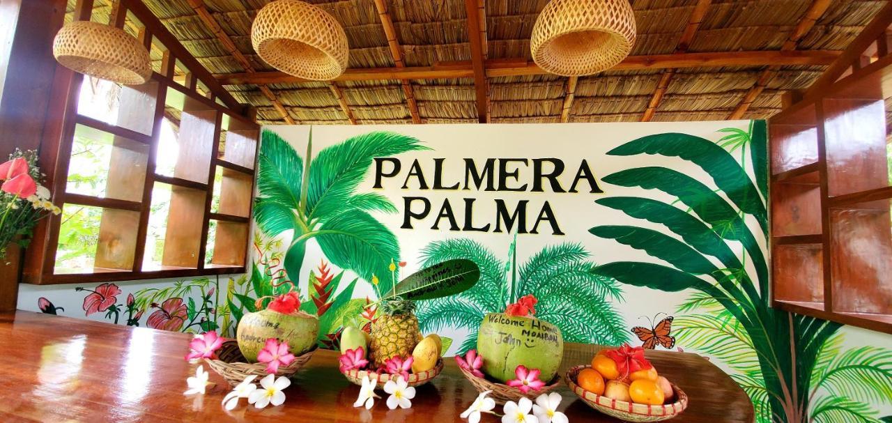 Palmera Palma Top Floor Moalboal Extérieur photo